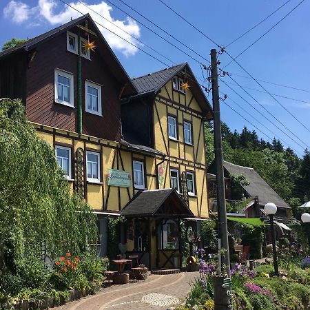 스타인하이드 Haus Rennsteigrose 아파트 외부 사진